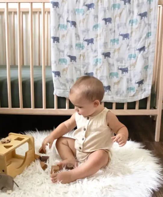 Aden + Anais Essentials Cotton Muslin blanket expedition Luxury(120cm)