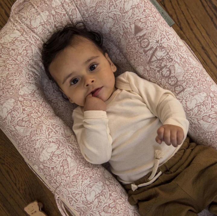 Deluxe+ Dock (0 to 8 months) Brer Rabbit