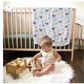 Boutique Silky Soft Dream Blanket