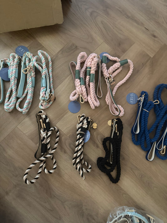 Dog leash and collar