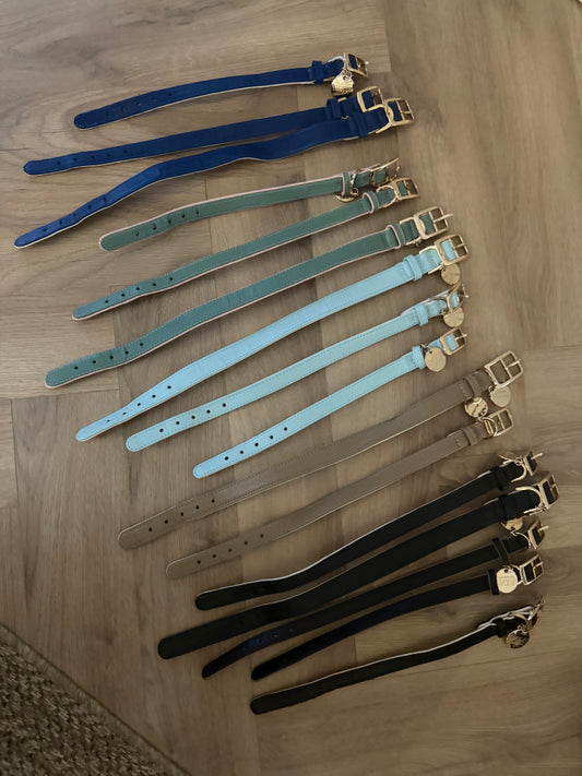 Dog leash and collar
